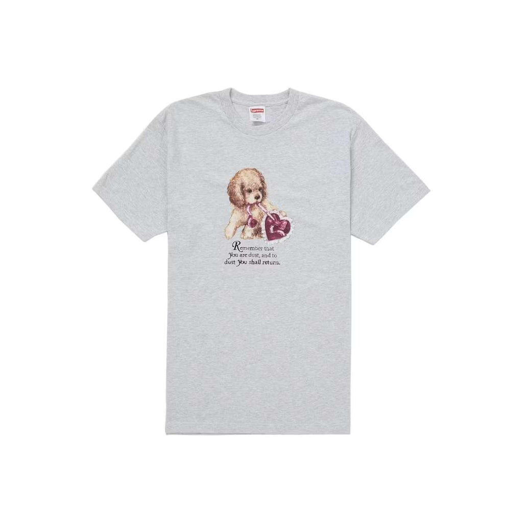Supreme-Dust-Tee-Ash-Grey-
