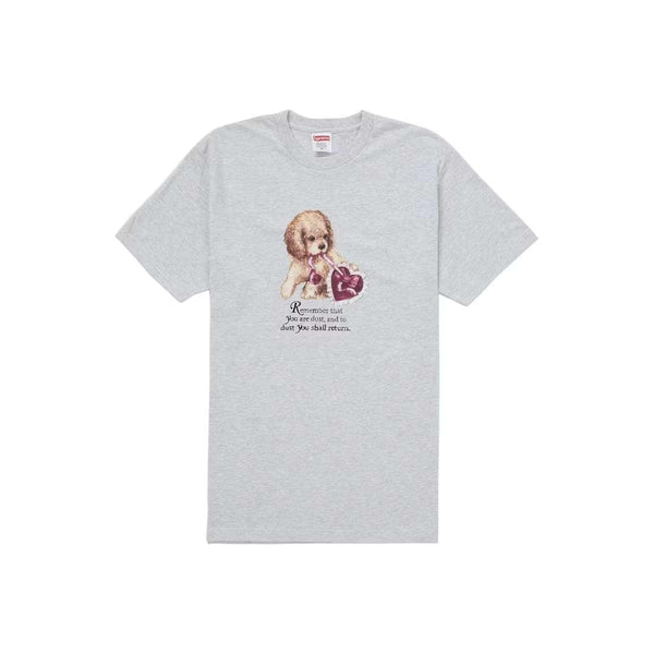 Supreme-Dust-Tee-Ash-Grey-
